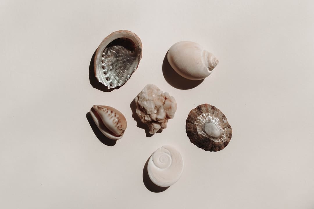 《以太坊》:一部要拍到天荒地老的古装短剧